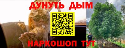 дмт Можга